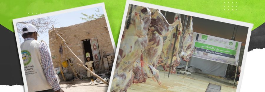 مؤسسة البادية تنفّذ مشروع الأضاحي لعام 1447هـ / 2026 م في 7 محافظات يمنية